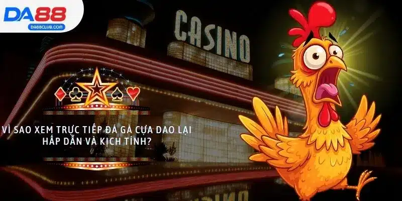 Vì sao xem trực tiếp đá gà cựa dao lại hấp dẫn và kịch tính?